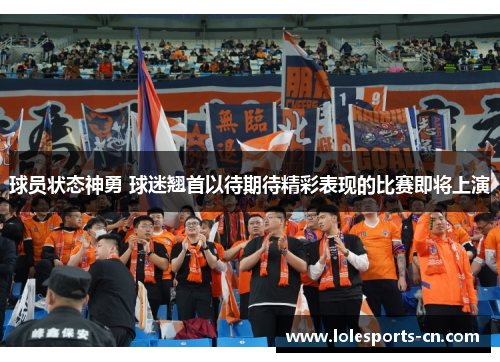 球员状态神勇 球迷翘首以待期待精彩表现的比赛即将上演
