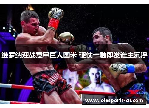 维罗纳迎战意甲巨人国米 硬仗一触即发谁主沉浮