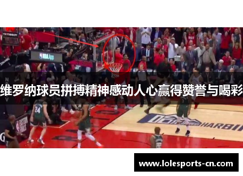 维罗纳球员拼搏精神感动人心赢得赞誉与喝彩