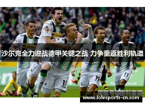 沙尔克全力迎战德甲关键之战 力争重返胜利轨道