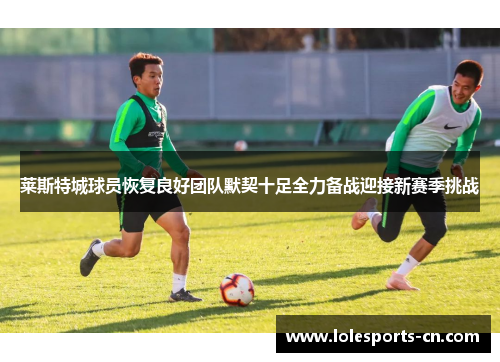 莱斯特城球员恢复良好团队默契十足全力备战迎接新赛季挑战