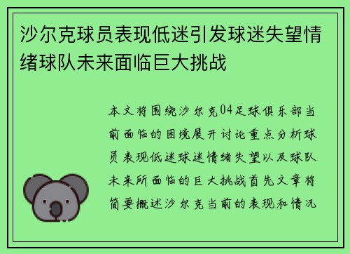 沙尔克球员表现低迷引发球迷失望情绪球队未来面临巨大挑战